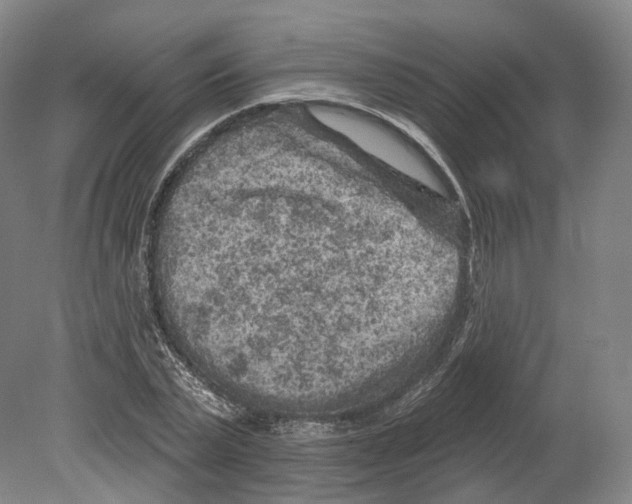 X0000080180783200701051656