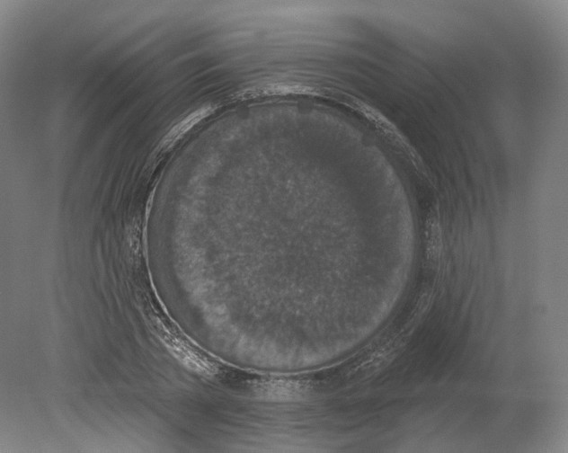 X0000080180785200701051656