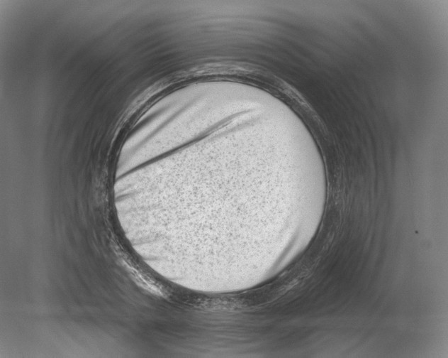 X0000080180786200701051656