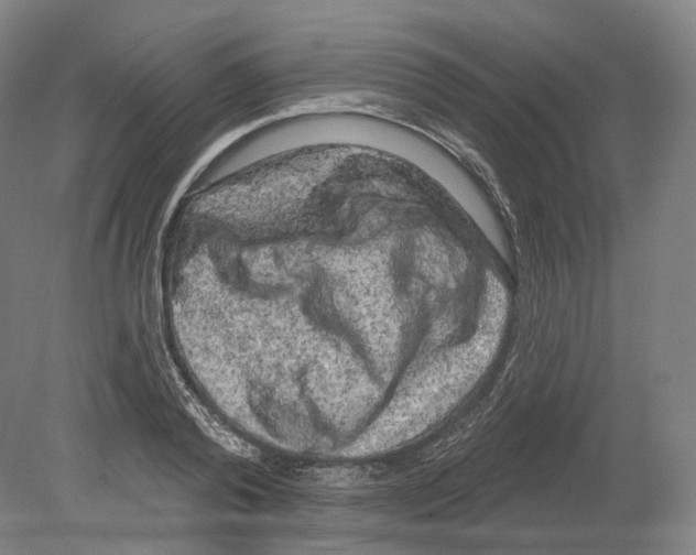 X0000080180792200701051656