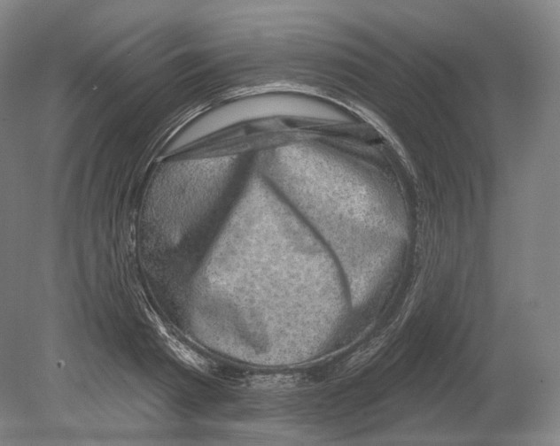 X0000080180793200701051656