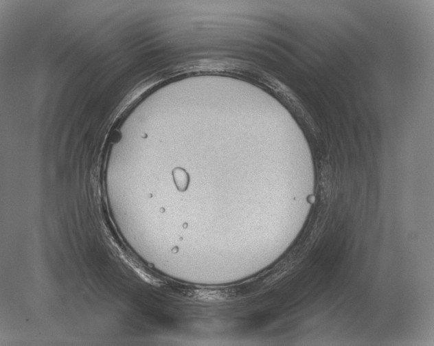 X0000080180794200701051656