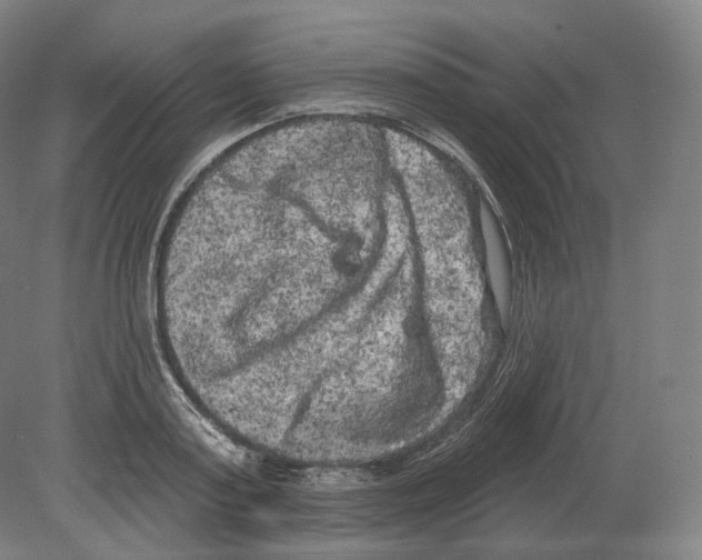 X0000080180795200701051656