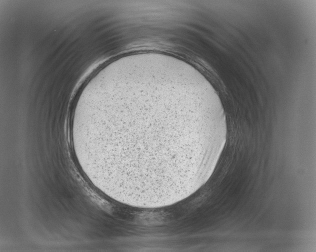 X0000080180796200701051656