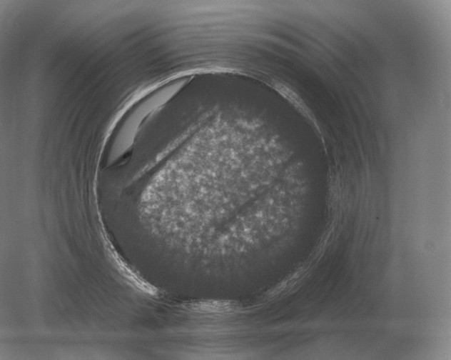 X0000080180797200701051656