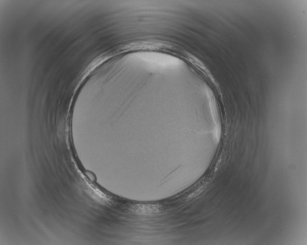 X0000080180802200701051656