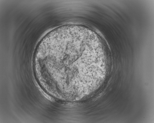 X0000080180803200701051655