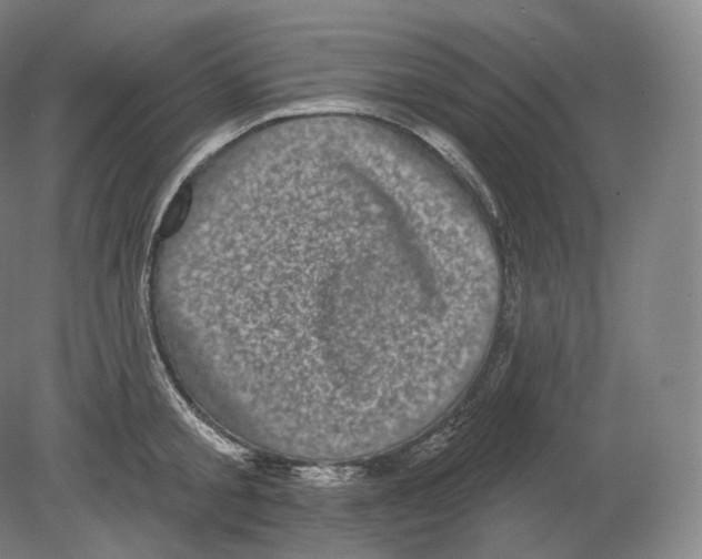 X0000080180805200701051655