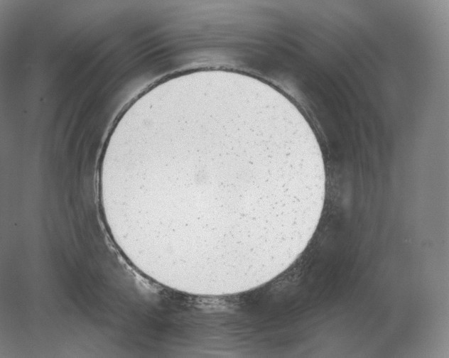 X0000080180807200701051655