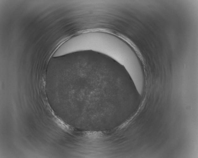 X0000080180809200701051655