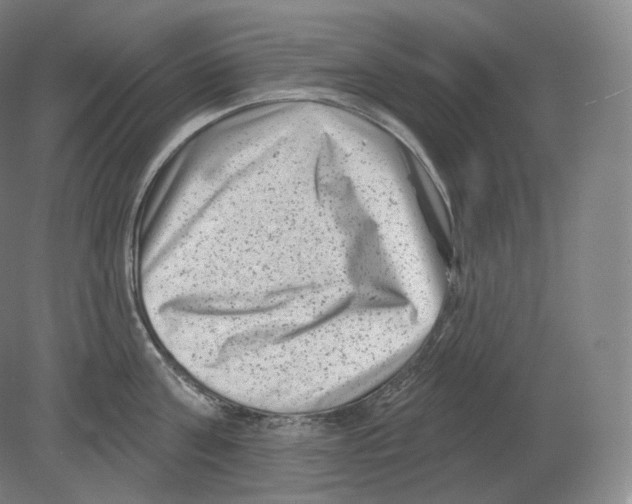 X0000080180811200701051655