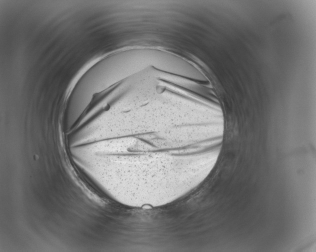 X0000080180812200701051655