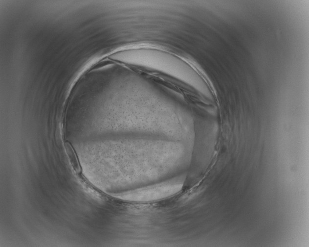 X0000080180813200701051655