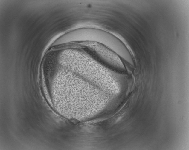 X0000080180815200701051655