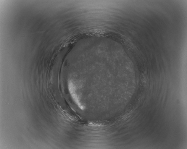 X0000080180818200701051654