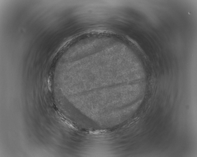 X0000080180823200701051655