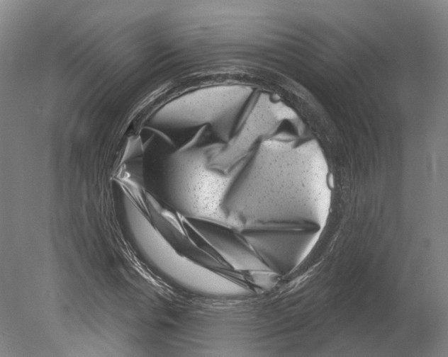 X0000080180826200701051655