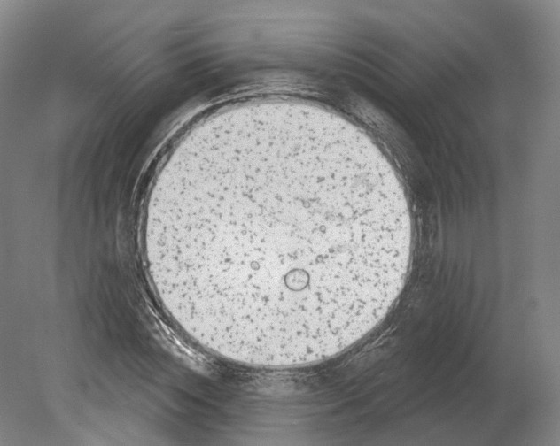 X0000080180828200701051655