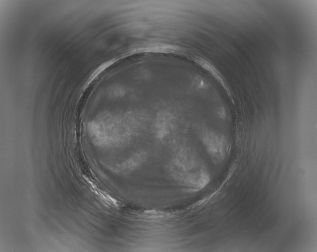 X0000080180829200701051655