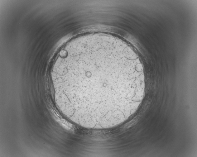 X0000080180832200701051655