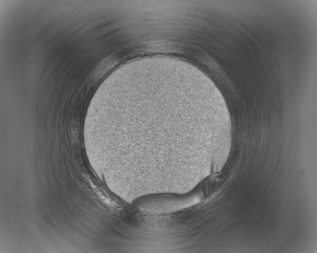 X0000080180833200701051655