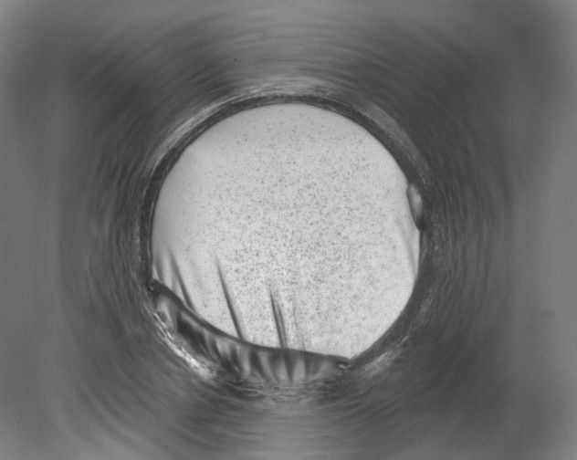 X0000080180834200701051655