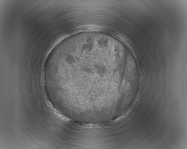 X0000080180835200701051655