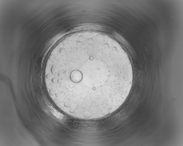 X0000080180836200701051655