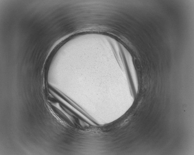 X0000080180838200701051655