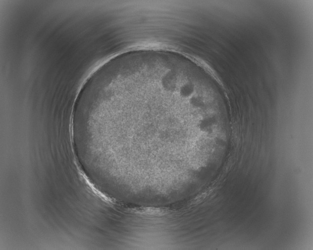 X0000080180839200701051655