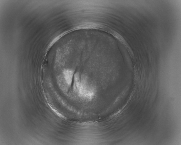 X0000080180842200701051655