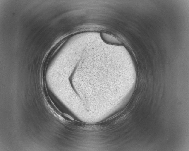 X0000080180843200701051655