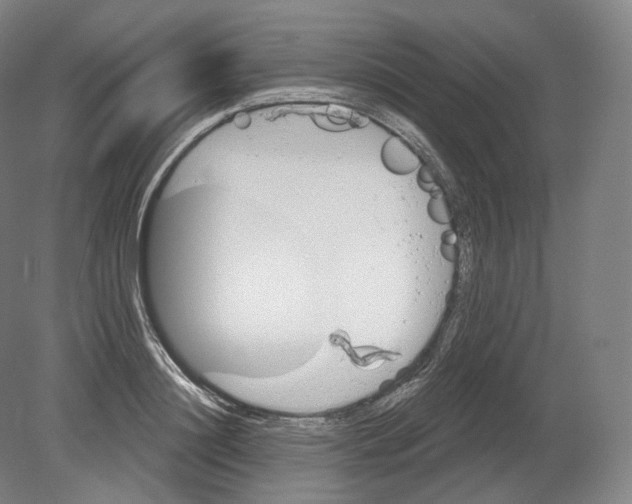 X0000080180844200701051655