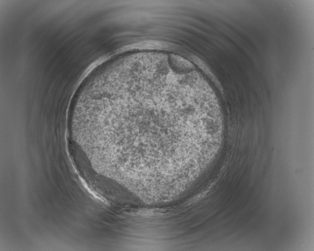 X0000080180845200701051655