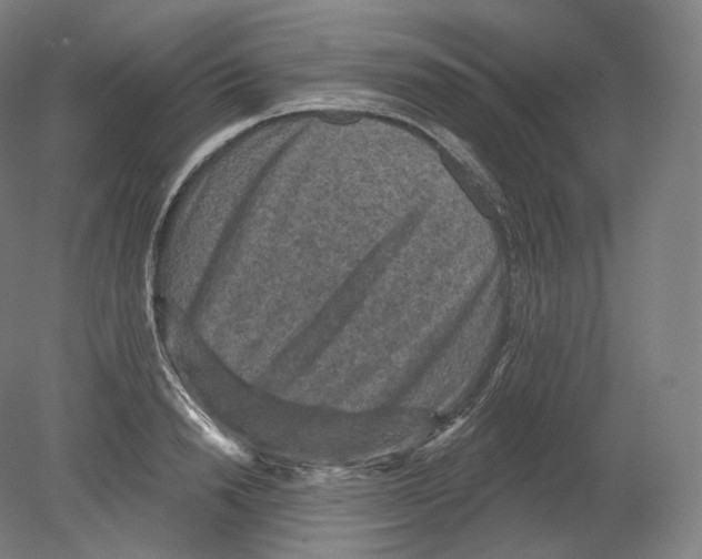 X0000080180846200701051655