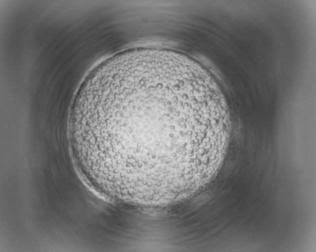 X0000080180848200701051655