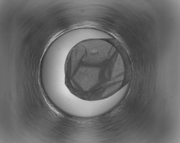 X0000080180850200701051655