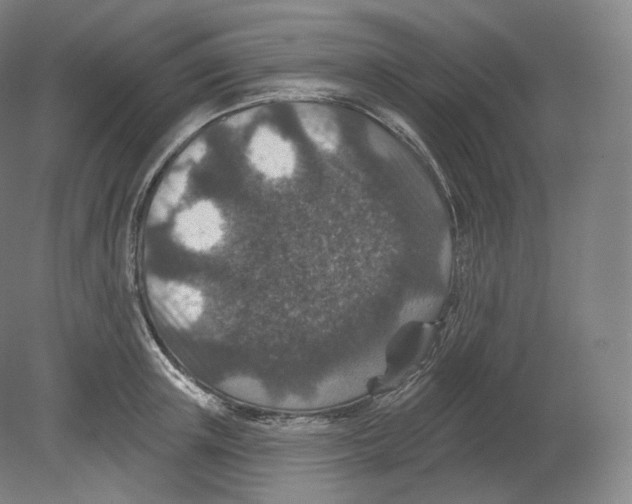 X0000080180851200701051655