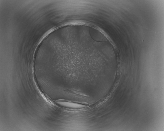 X0000080180853200701051655