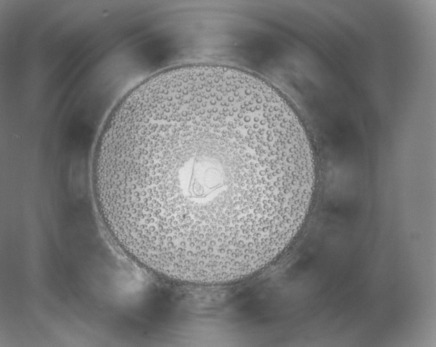 X0000080180856200701051655