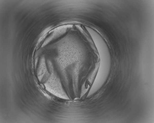 X0000080180858200701051655