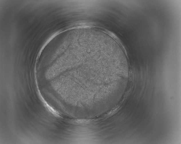 X0000080180859200701051655