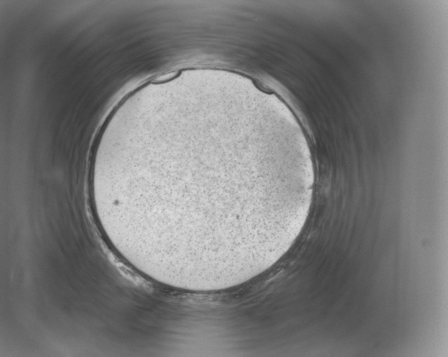 X0000080180861200701051655