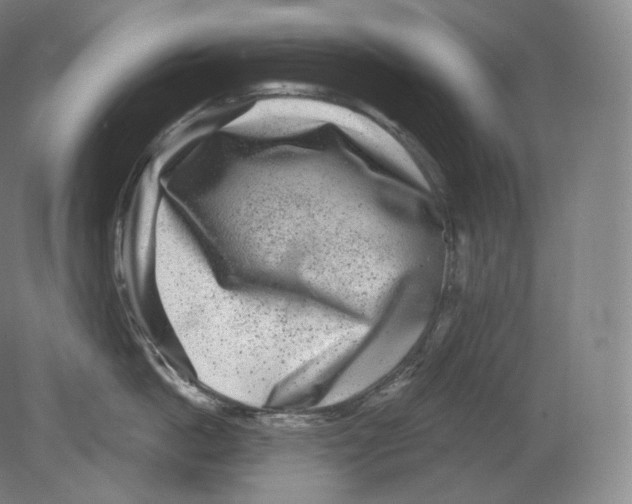 X0000080180862200701051655