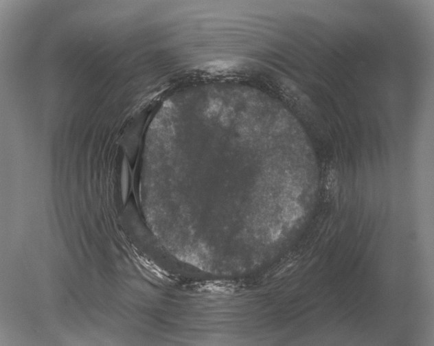 X0000080180868200701051654