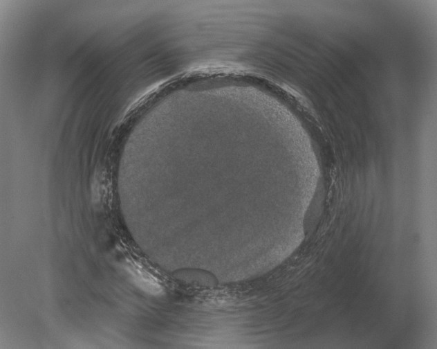 X0000080180872200701051654