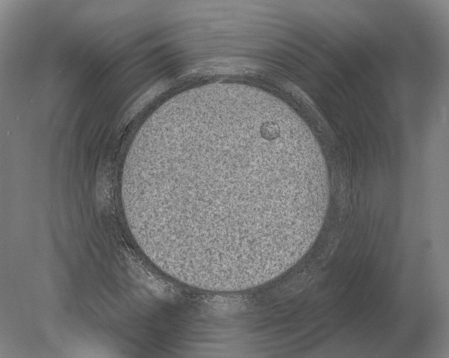 X0000080180874200701051654