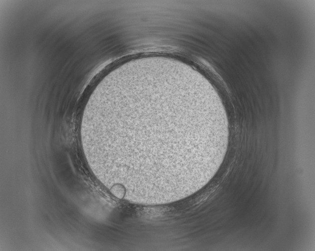 X0000080180875200701051654