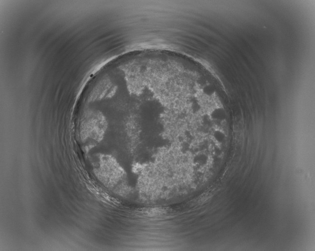 X0000080180879200701051654