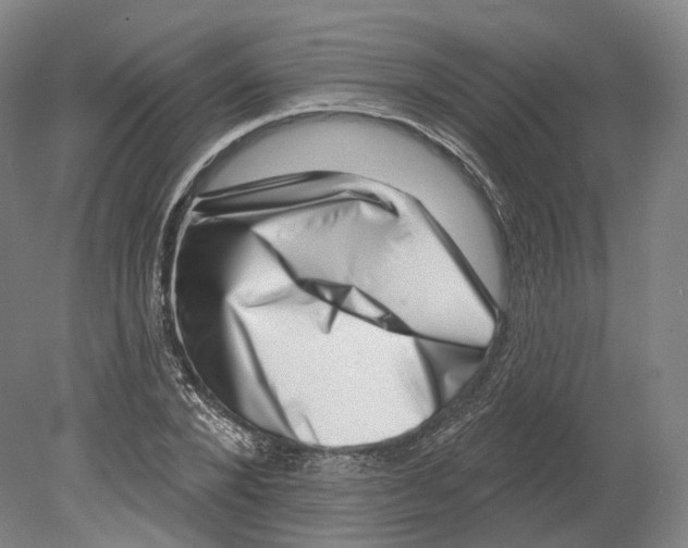 X0000080180880200701051654